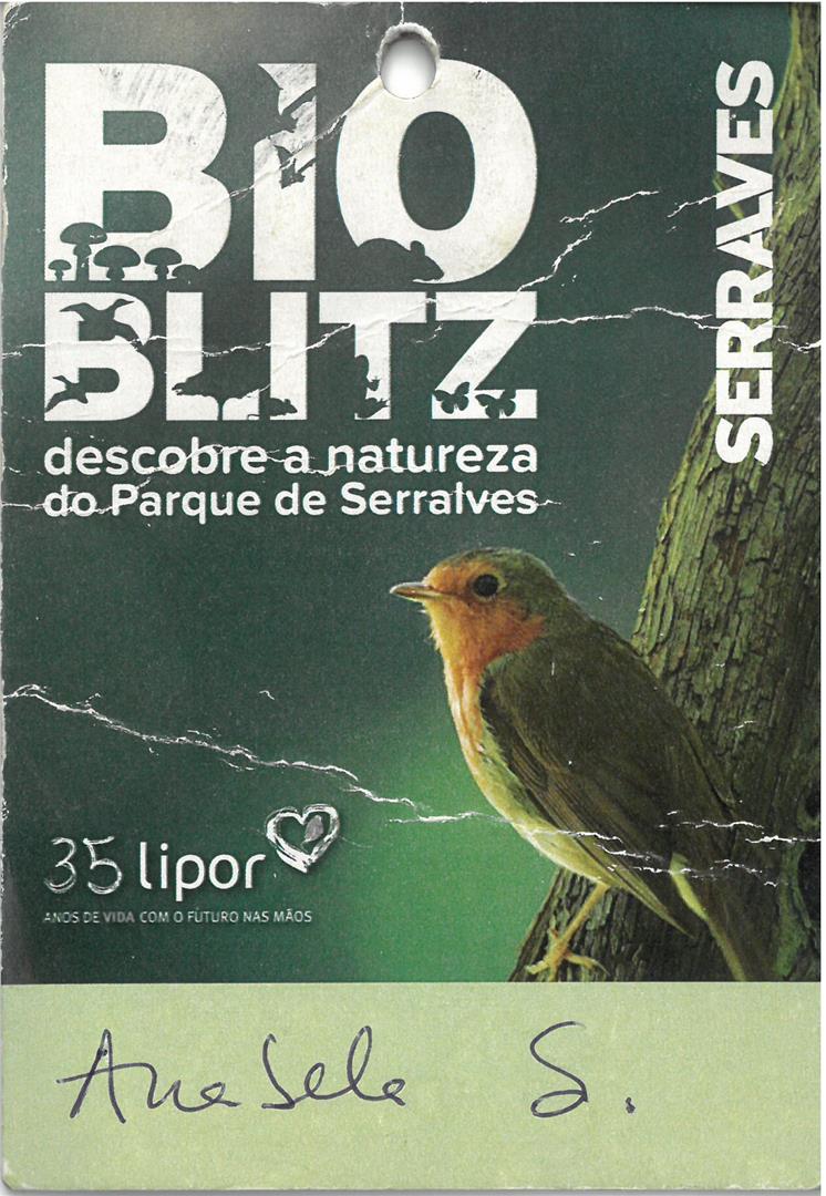 <span><p>Identificaes de Staff do Bioblitz</p></span>