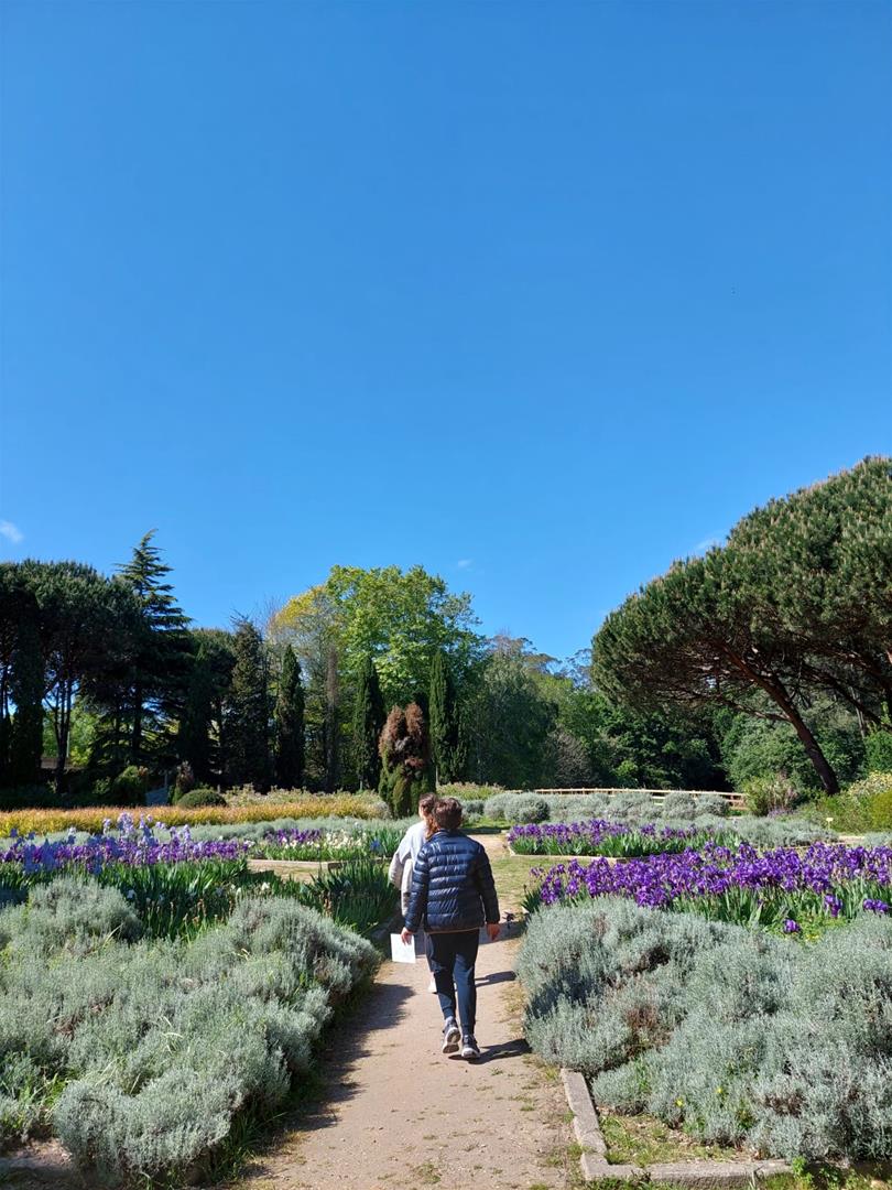 <span><p>Visita em famlia ao Parque de Serralves</p></span>